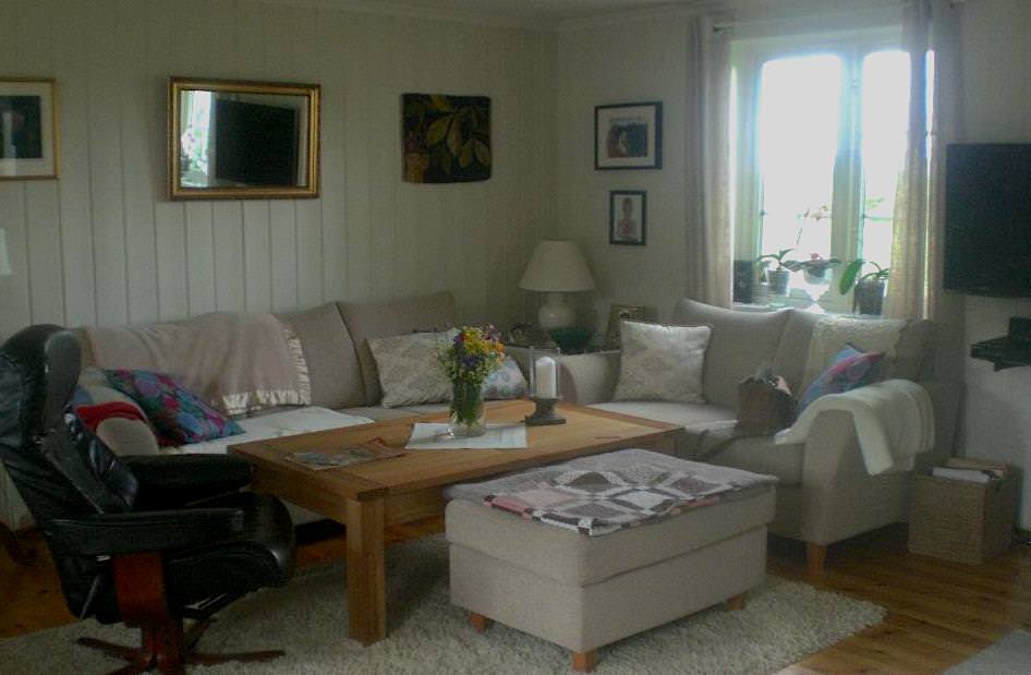 Før – Oppfriskning av stue (5)
